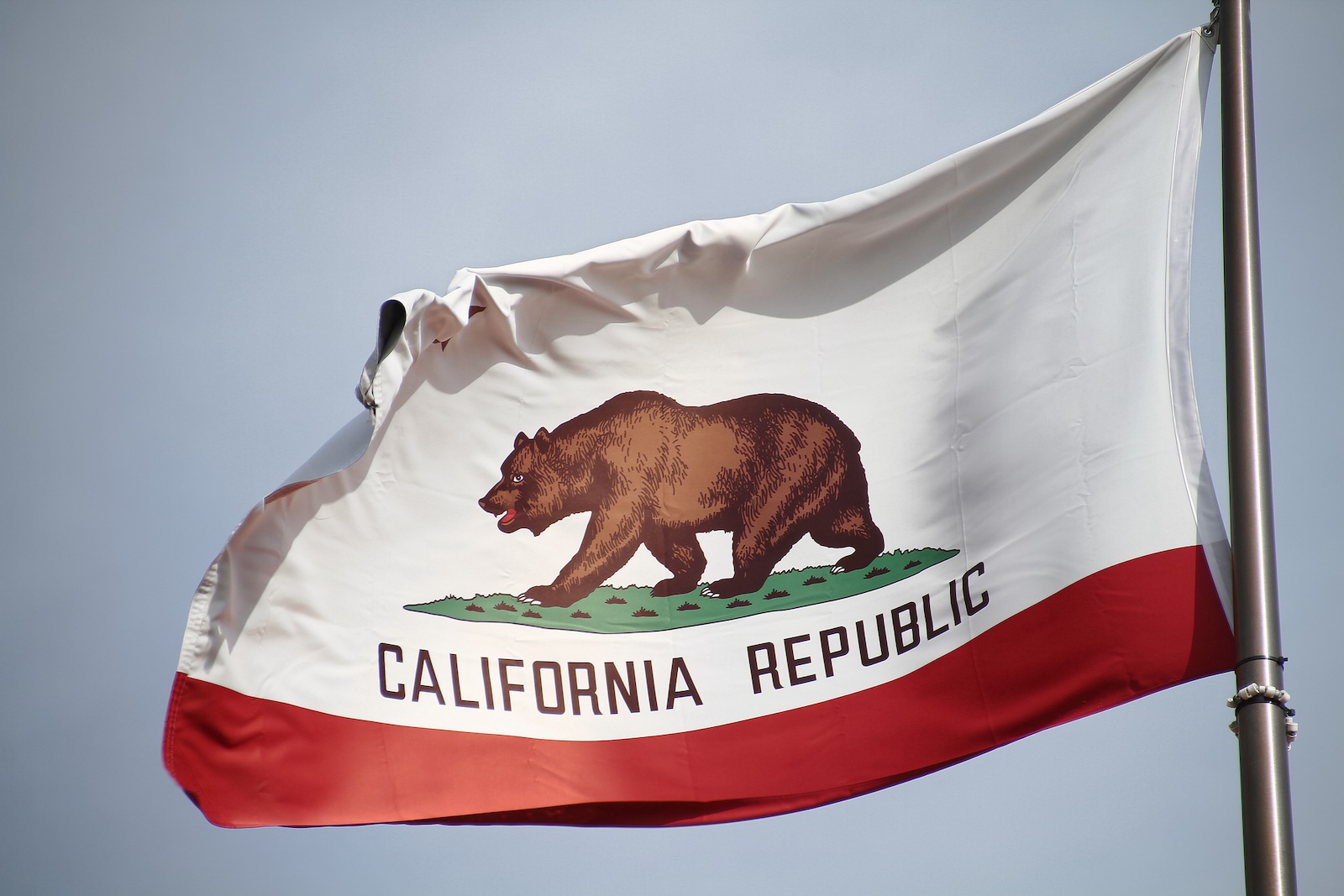 2024 Declared Year Of The California Grizzly Bear One Earth Grizzly Bear On The California State Flag. Image Credit Usataro | Dreamstime